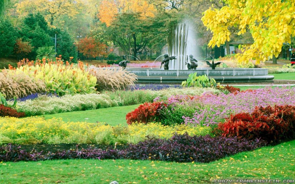 Top 50 mẫu logo nhà vườn đẹp nhất